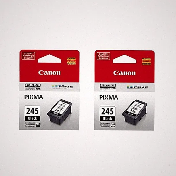 Canon PG-245 Black Ink Cartridge, Standard Yield , 8279B001, 2 Pcs
